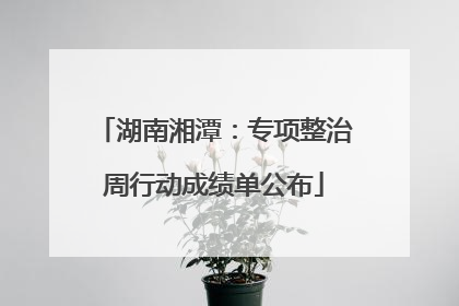 湖南湘潭：专项整治周行动成绩单公布