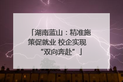 湖南蓝山：精准施策促就业 校企实现“双向奔赴”