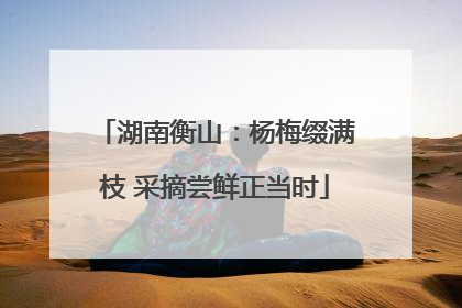 湖南衡山：杨梅缀满枝 采摘尝鲜正当时