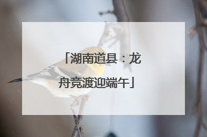 湖南道县：龙舟竞渡迎端午