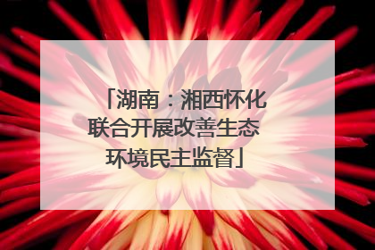 湖南：湘西怀化联合开展改善生态环境民主监督