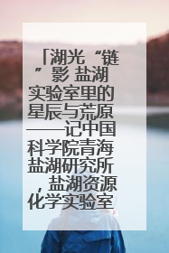 湖光“链”影 盐湖实验室里的星辰与荒原——记中国科学院青海盐湖研究所，盐湖资源化学实验室党总支书记、副主任刘忠
