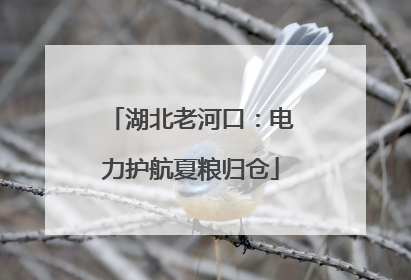 湖北老河口：电力护航夏粮归仓