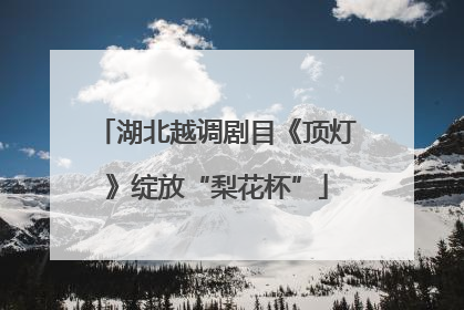 湖北越调剧目《顶灯》绽放“梨花杯”