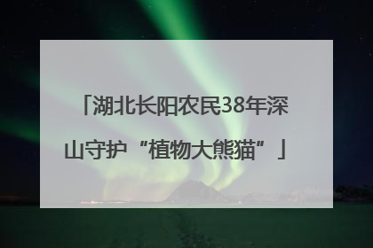 湖北长阳农民38年深山守护“植物大熊猫”