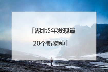湖北5年发现逾20个新物种