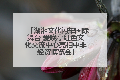 湖湘文化闪耀国际舞台 爱晚亭红色文化交流中心亮相中非经贸博览会