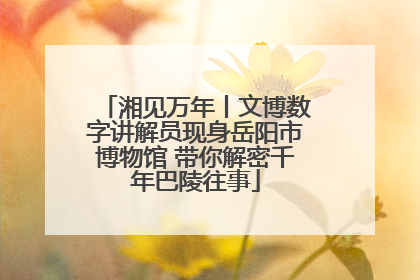 湘见万年丨文博数字讲解员现身岳阳市博物馆 带你解密千年巴陵往事