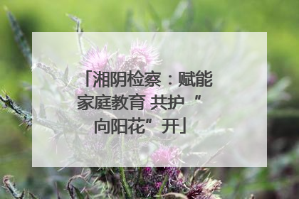 湘阴检察：赋能家庭教育 共护“向阳花”开