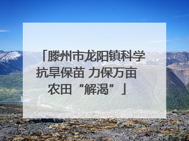 滕州市龙阳镇科学抗旱保苗 力保万亩农田“解渴”