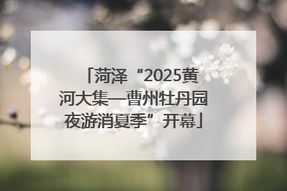 菏泽“2025黄河大集—曹州牡丹园夜游消夏季”开幕