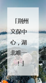 荆州文保中心，湖北唯一！