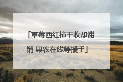 草莓西红柿丰收却滞销 果农在线等援手