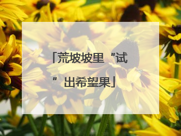 荒坡坡里“试”出希望果