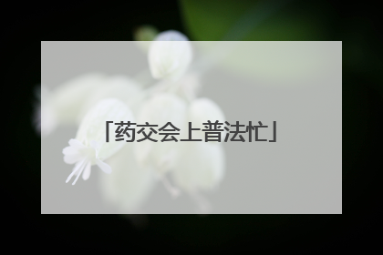 药交会上普法忙