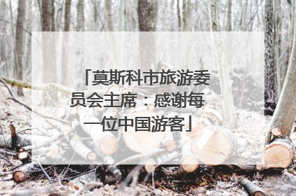 莫斯科市旅游委员会主席：感谢每一位中国游客