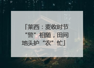 莱西：麦收时节“警”相随，田间地头护“农”忙