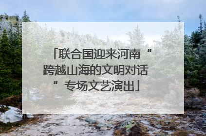 联合国迎来河南“跨越山海的文明对话”专场文艺演出