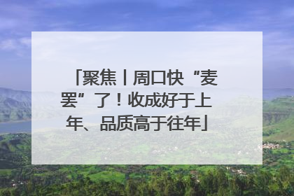 聚焦丨周口快“麦罢”了！收成好于上年、品质高于往年
