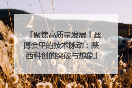 聚焦高质量发展丨丝博会里的技术脉动：陕西科创的突破与想象