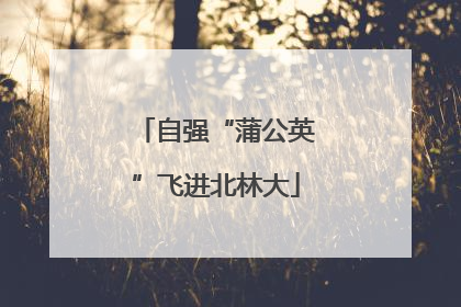 自强“蒲公英”飞进北林大