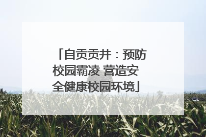 自贡贡井：预防校园霸凌 营造安全健康校园环境