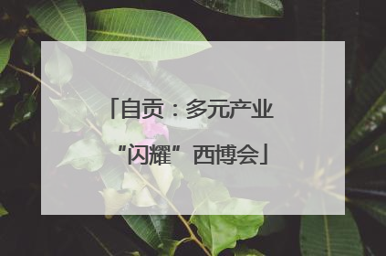 自贡：多元产业“闪耀”西博会