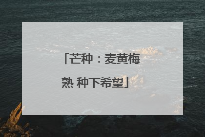 芒种：麦黄梅熟 种下希望