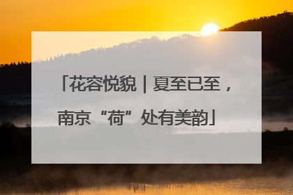 花容悦貌｜夏至已至，南京“荷”处有美韵