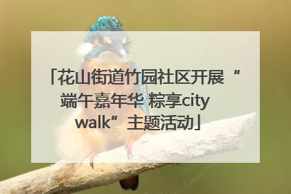 花山街道竹园社区开展“端午嘉年华 粽享city walk”主题活动