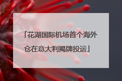 花湖国际机场首个海外仓在意大利揭牌投运