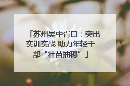 苏州吴中胥口：突出实训实战 助力年轻干部“壮苗抽穗”