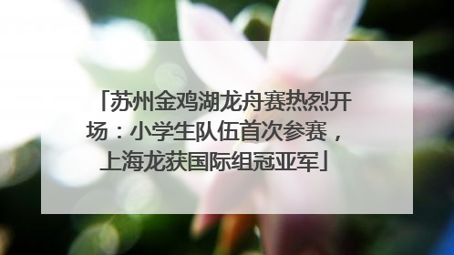 苏州金鸡湖龙舟赛热烈开场：小学生队伍首次参赛，上海龙获国际组冠亚军