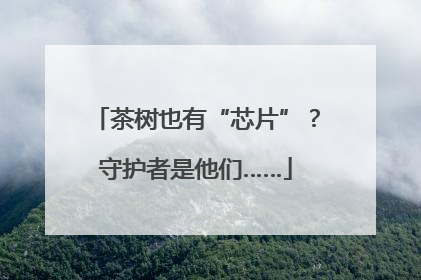 茶树也有“芯片”？守护者是他们……