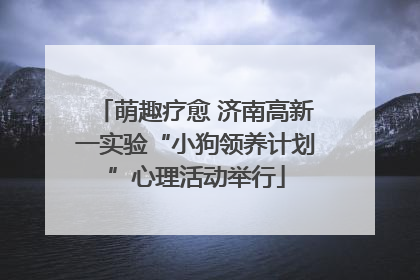 萌趣疗愈 济南高新一实验“小狗领养计划”心理活动举行