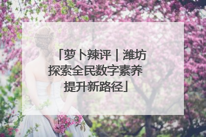 萝卜辣评｜潍坊探索全民数字素养提升新路径