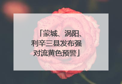 蒙城、涡阳、利辛三县发布强对流黄色预警