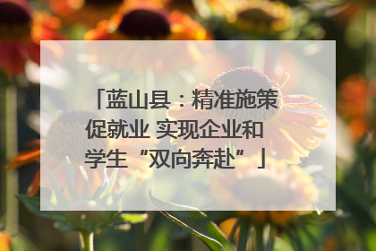 蓝山县：精准施策促就业 实现企业和学生“双向奔赴”