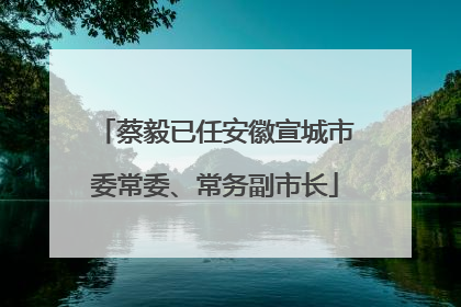 蔡毅已任安徽宣城市委常委、常务副市长