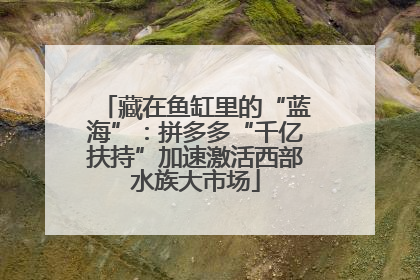 藏在鱼缸里的“蓝海”：拼多多“千亿扶持”加速激活西部水族大市场