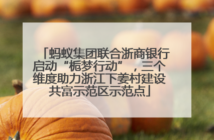 蚂蚁集团联合浙商银行启动“栀梦行动”，三个维度助力浙江下姜村建设共富示范区示范点