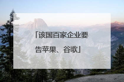该国百家企业要告苹果、谷歌
