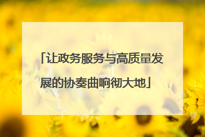 让政务服务与高质量发展的协奏曲响彻大地
