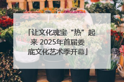 让文化瑰宝“热”起来 2025年首届娄底文化艺术季开幕