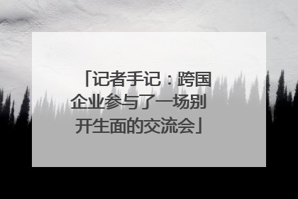 记者手记：跨国企业参与了一场别开生面的交流会