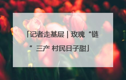 记者走基层｜玫瑰“链”三产 村民日子甜