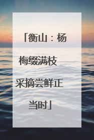 衡山：杨梅缀满枝 采摘尝鲜正当时
