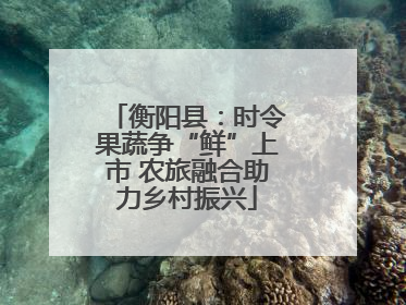 衡阳县：时令果蔬争“鲜”上市 农旅融合助力乡村振兴