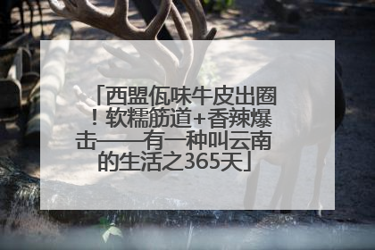 西盟佤味牛皮出圈！软糯筋道+香辣爆击——有一种叫云南的生活之365天