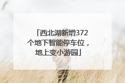 西北湖新增372个地下智能停车位，地上变小游园